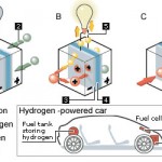 How Hydrogen Fuel Cells Work?
