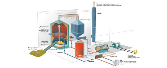 Biomass Energy Converting